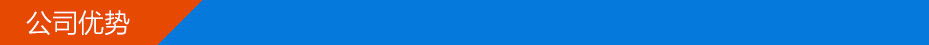 公司优势