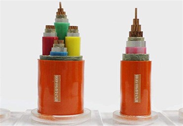 深入了解：消防配电中的矿物绝缘电缆