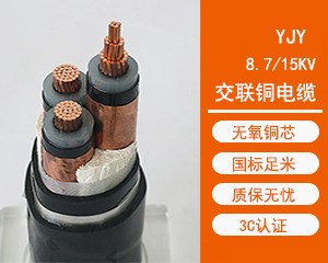 YJY 交联聚乙烯绝缘电力电缆