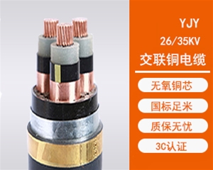 YJY 铜芯交联聚乙烯绝缘电力电缆