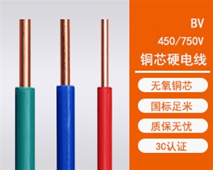 BV单塑单股硬线